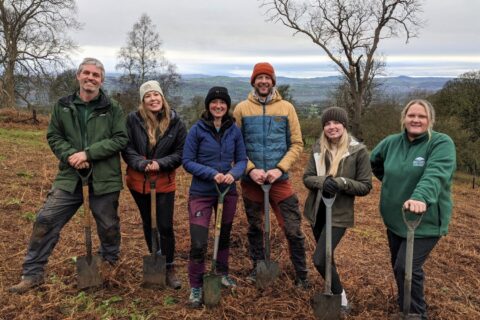 Creation of new woodland