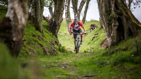 Cycling