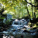 Rhaeadr Pen y Pigyn Waterfall