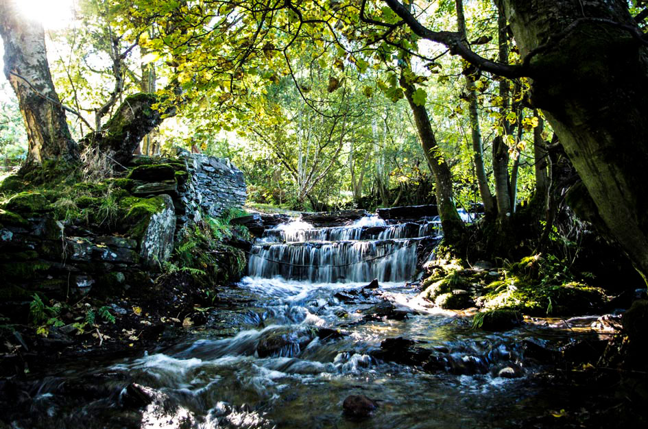 Rhaeadr Pen y Pigyn Waterfall