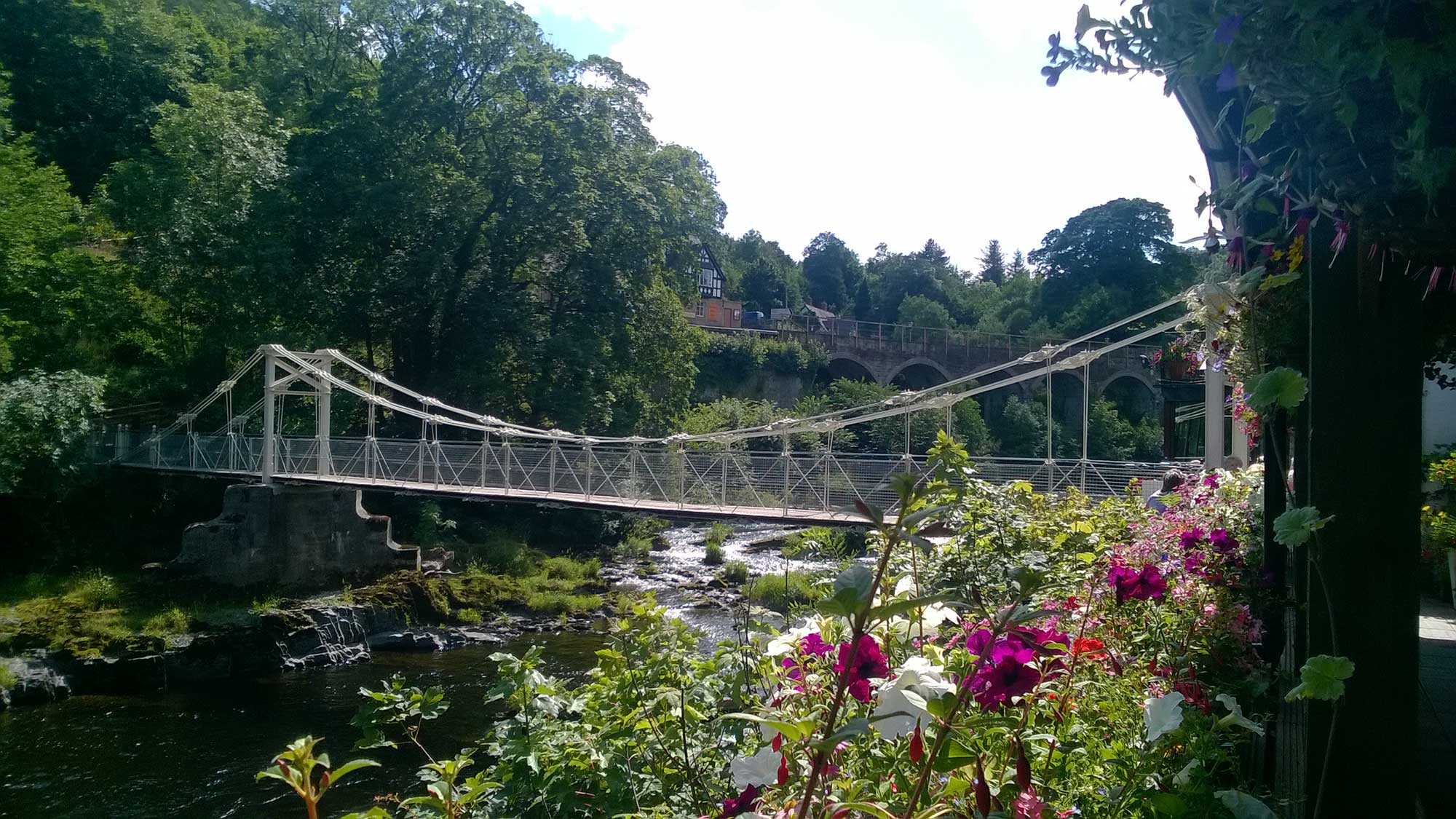 Chain Bridge in summer