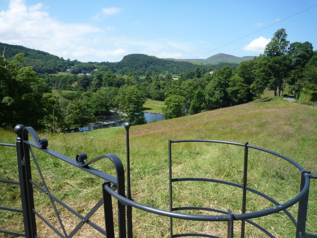 View of Horseshoe Falls