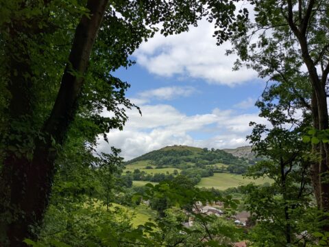 Walking the Picturesque