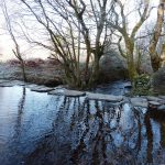 Stepping stones to Pen y Pigyn Wood