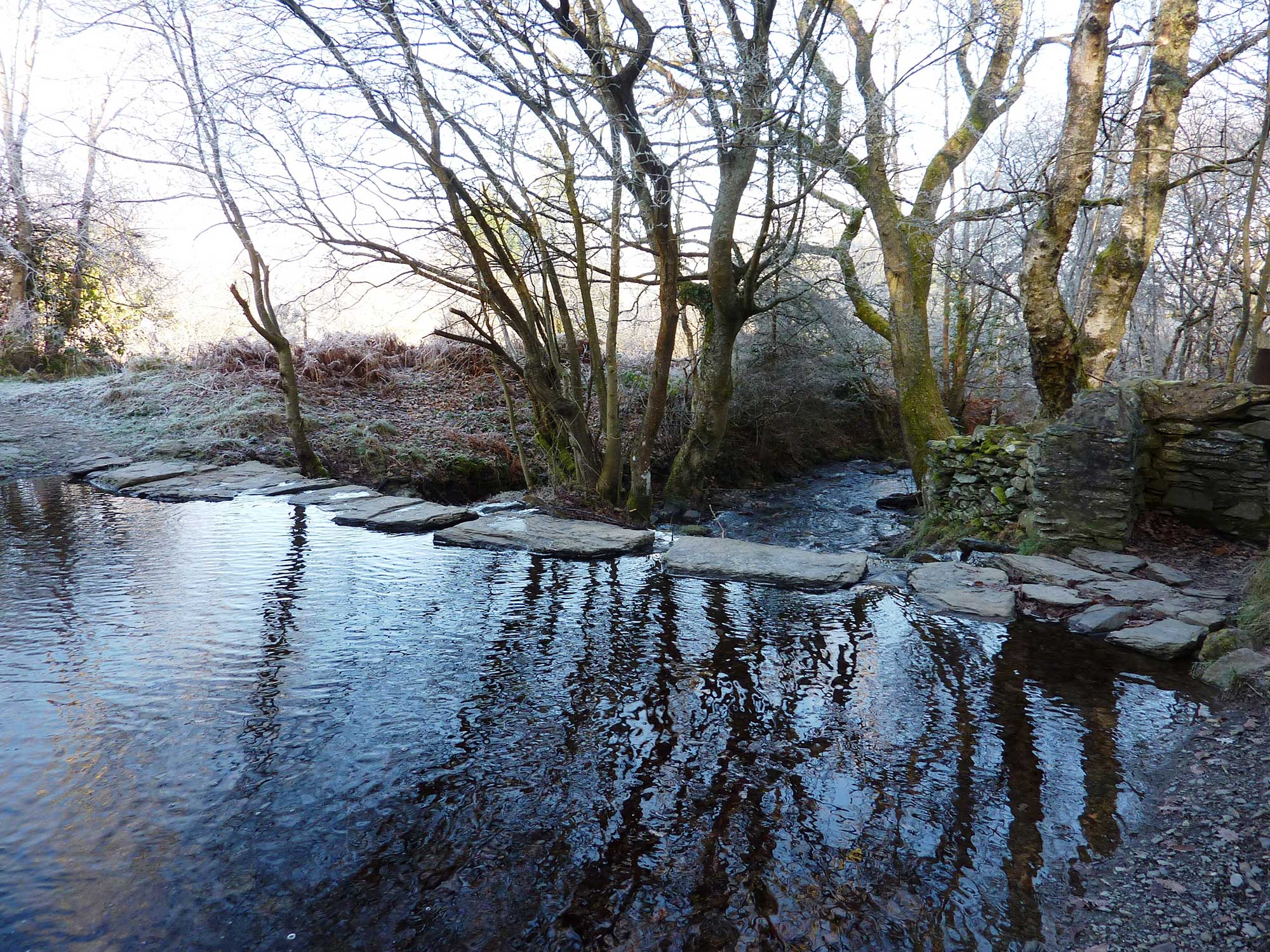 Stepping stones to Pen y Pigyn Wood