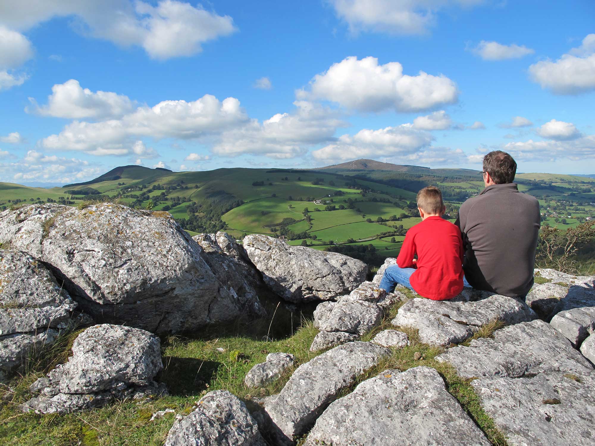 View of Bryn Alun