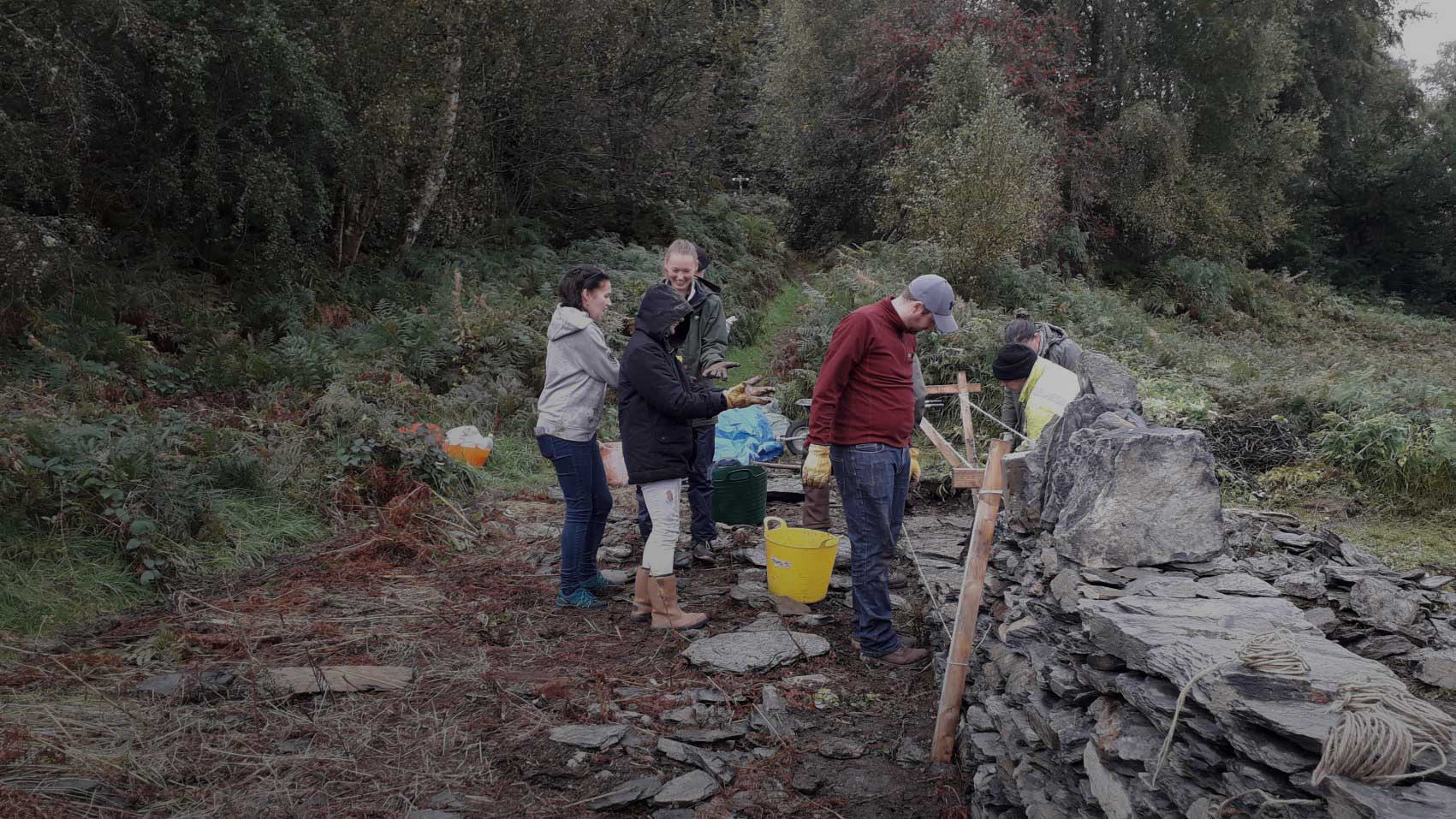 Corwen allotment dry stone walling