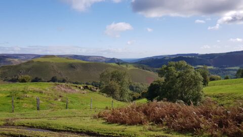 Fy Wythnos Gyntaf ….