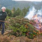 *Volunteers clearing invasive vegetation from the moorland