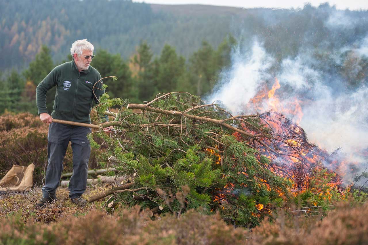 *Volunteers clearing invasive vegetation from the moorland