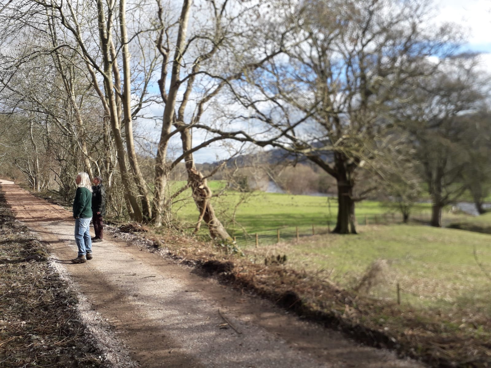 Warchodfa Natur Wenffrwd Nature Reserve