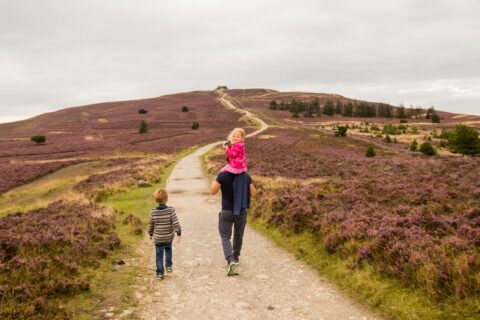 Parcio Coed Moel Famau yn cau