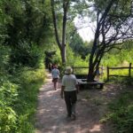 Cerdded yng Nghoedtir. Walking in Woodland