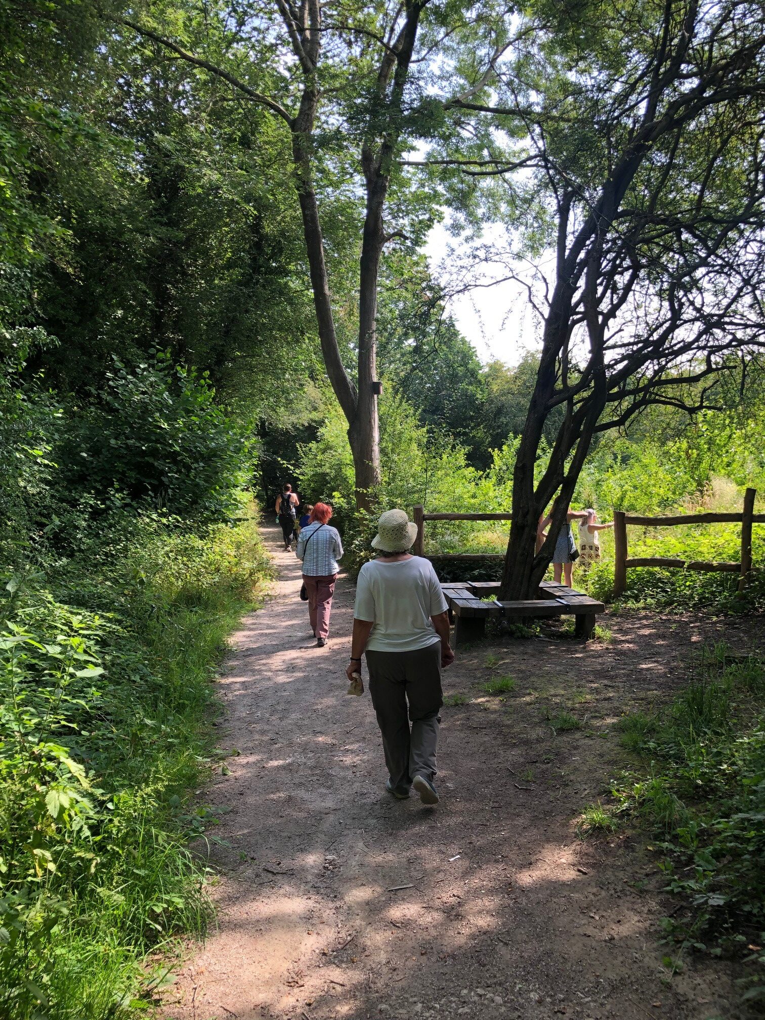 Cerdded yng Nghoedtir. Walking in Woodland