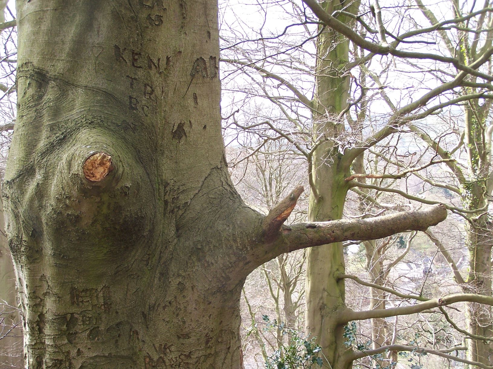 Parc Gwledig Loggerheads Country Park