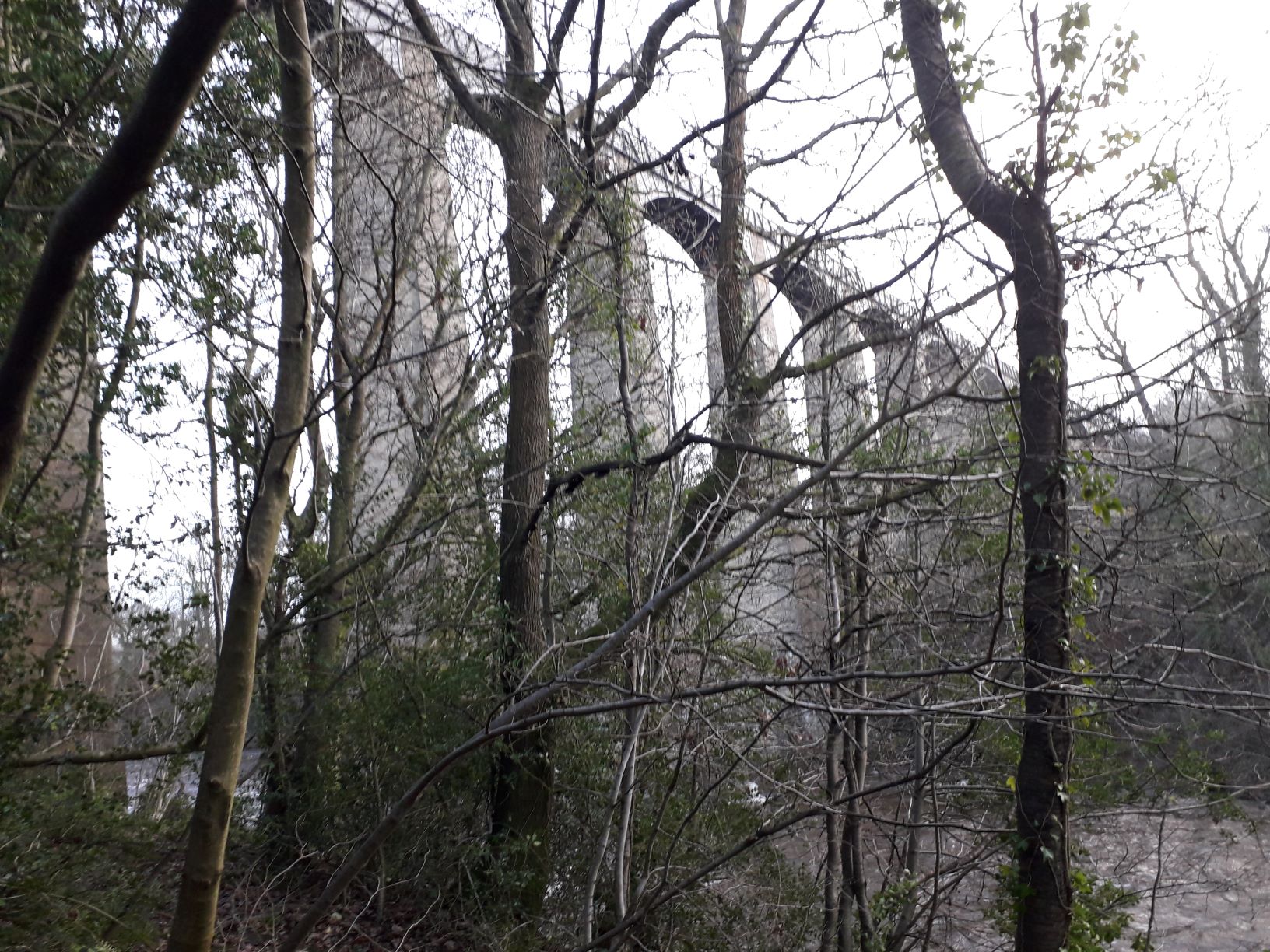 Coetir o amgylch Dyfyrbont Pontcysyllte | Woodland beneath Pontcysyllte Aqueduct 