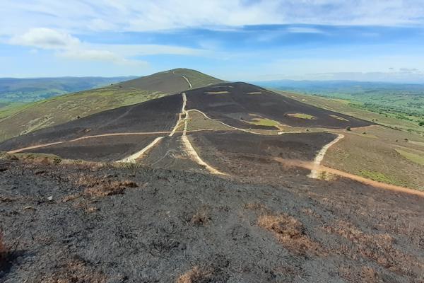 Llantysilio Mountain