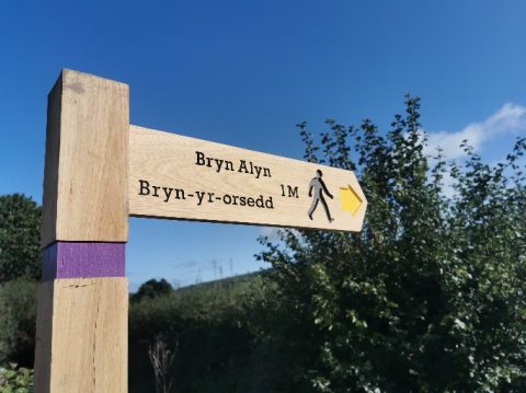 Gwelliannau Mynediad Plymog