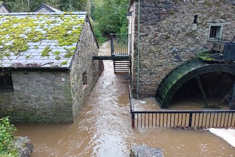 Difrod Llifogydd yn y Parc