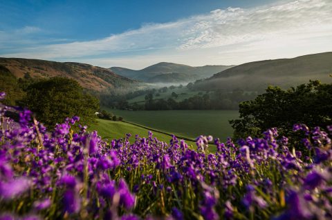 Ein Tirwedd Genedlaethol Arbennig
