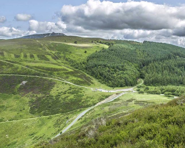 Landscapes and Wildlife