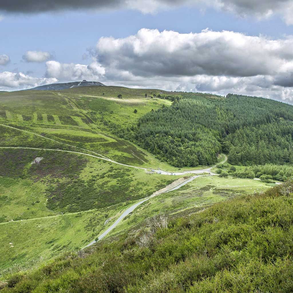 Landscapes and Wildlife