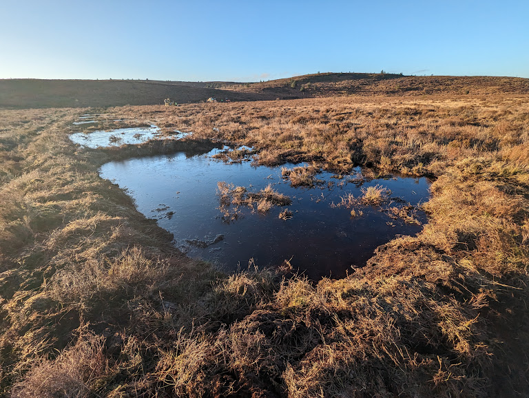 Contour bunding for peatlands health