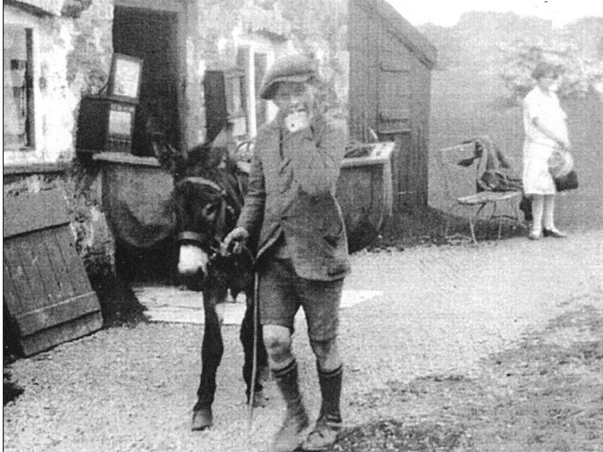 Donkey and boy offering trips to Dinas Brân castle