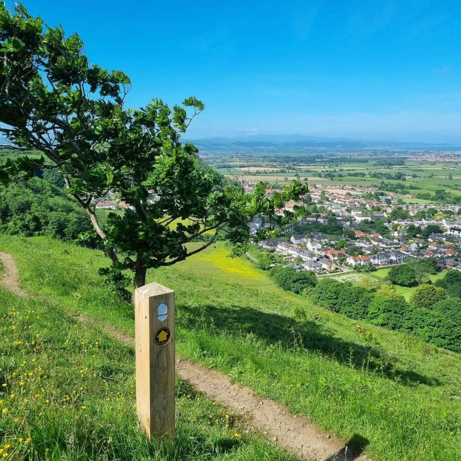 Offa's Dyke Path on Prestatyn hillside