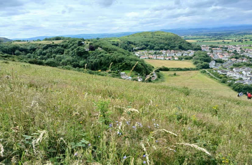 Prestatyn hillside