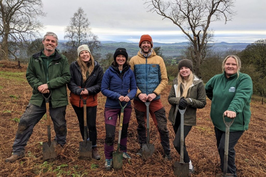Tree planting in the Clwydian Range and Dee Valley National Landscape