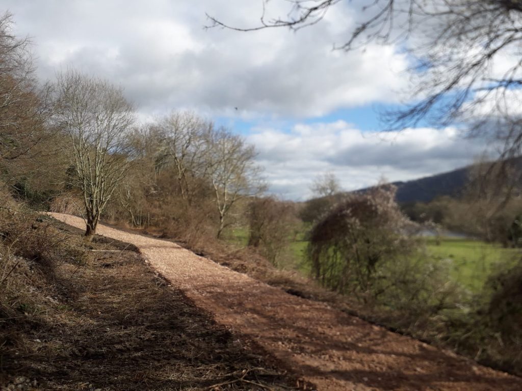 Wenffrwd Nature Reserve 