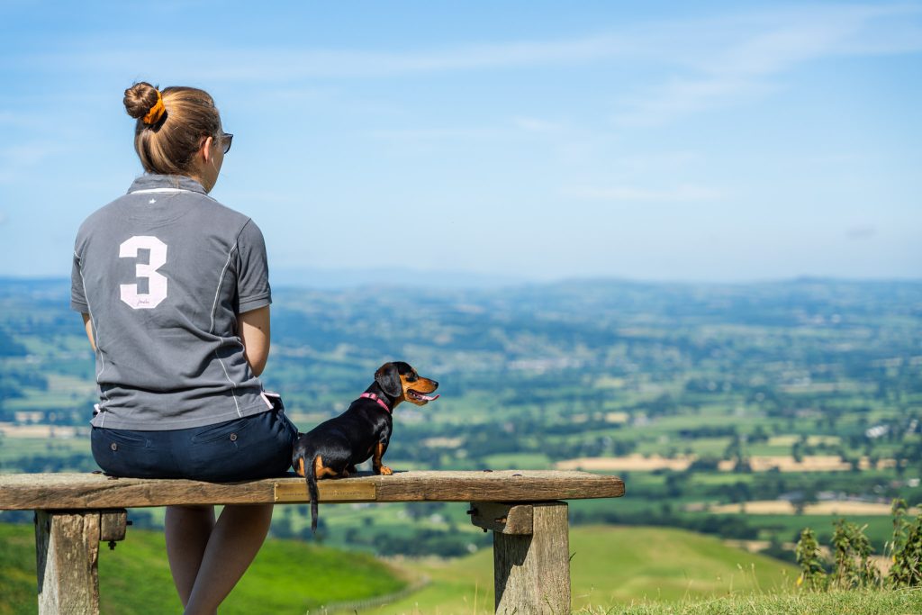 Dog walker enjoying the view at Moel Famau
