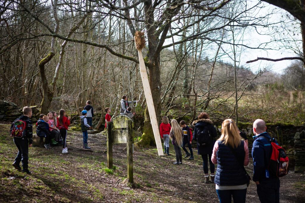 Brwsh Dannedd Drewyn – Drewyn’s Tooth Brush