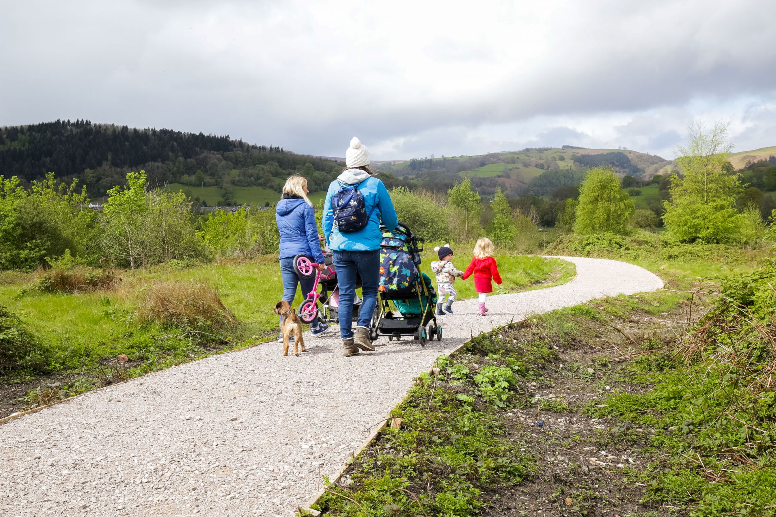 dog walking at Wenffrwd Nature Reserve