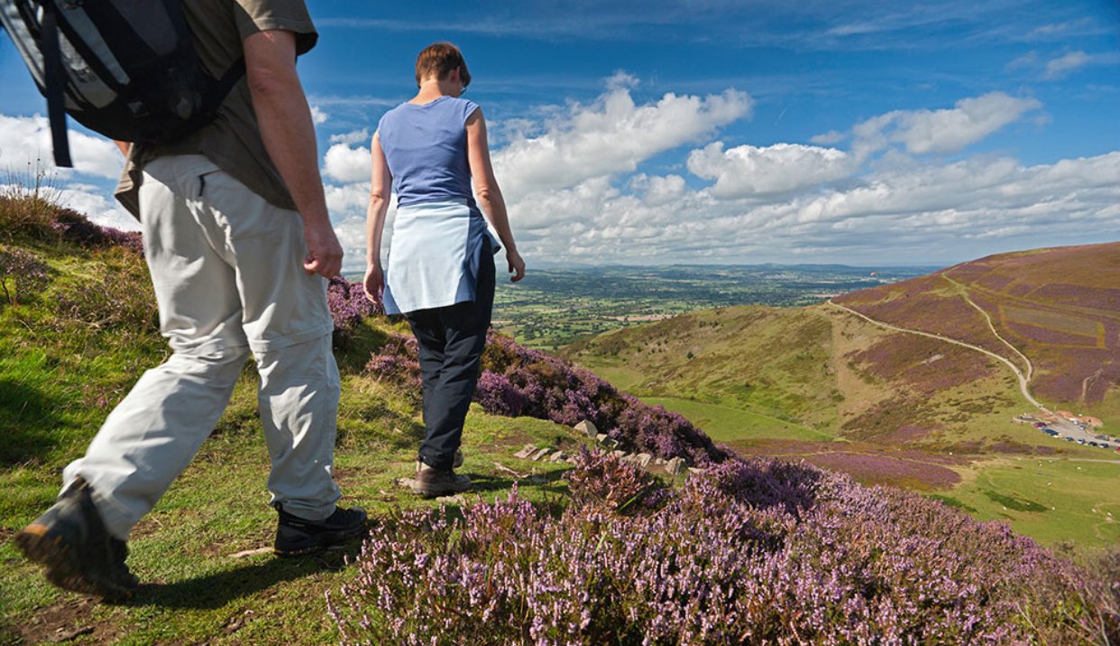 Hill walkers in summer