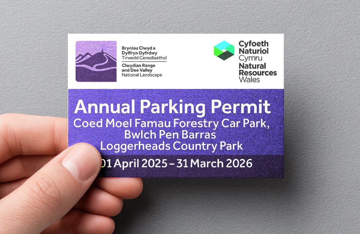 Annual Parking Permit