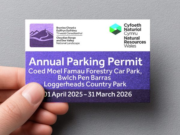 Annual Parking Permit
