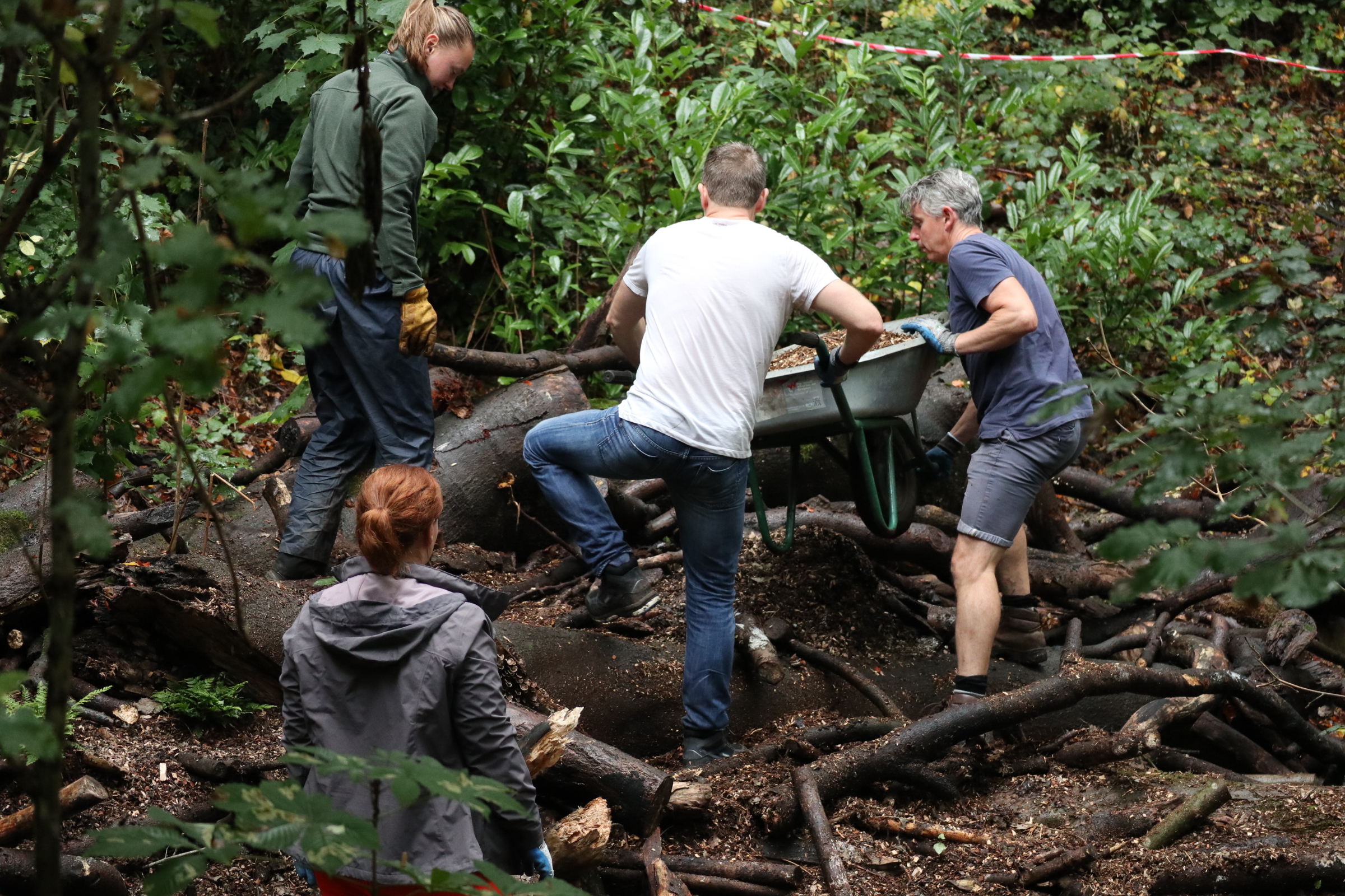 Volunteers in the Dell at Plas Newydd