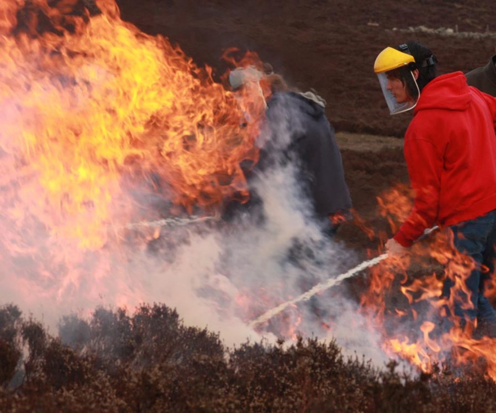 Heather burning