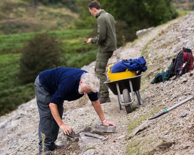 Planning pathway repairs