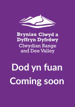 Dod yn fuan Coming soon