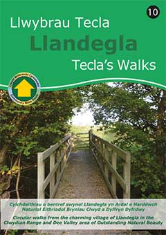 Llwybr Llandegla walk