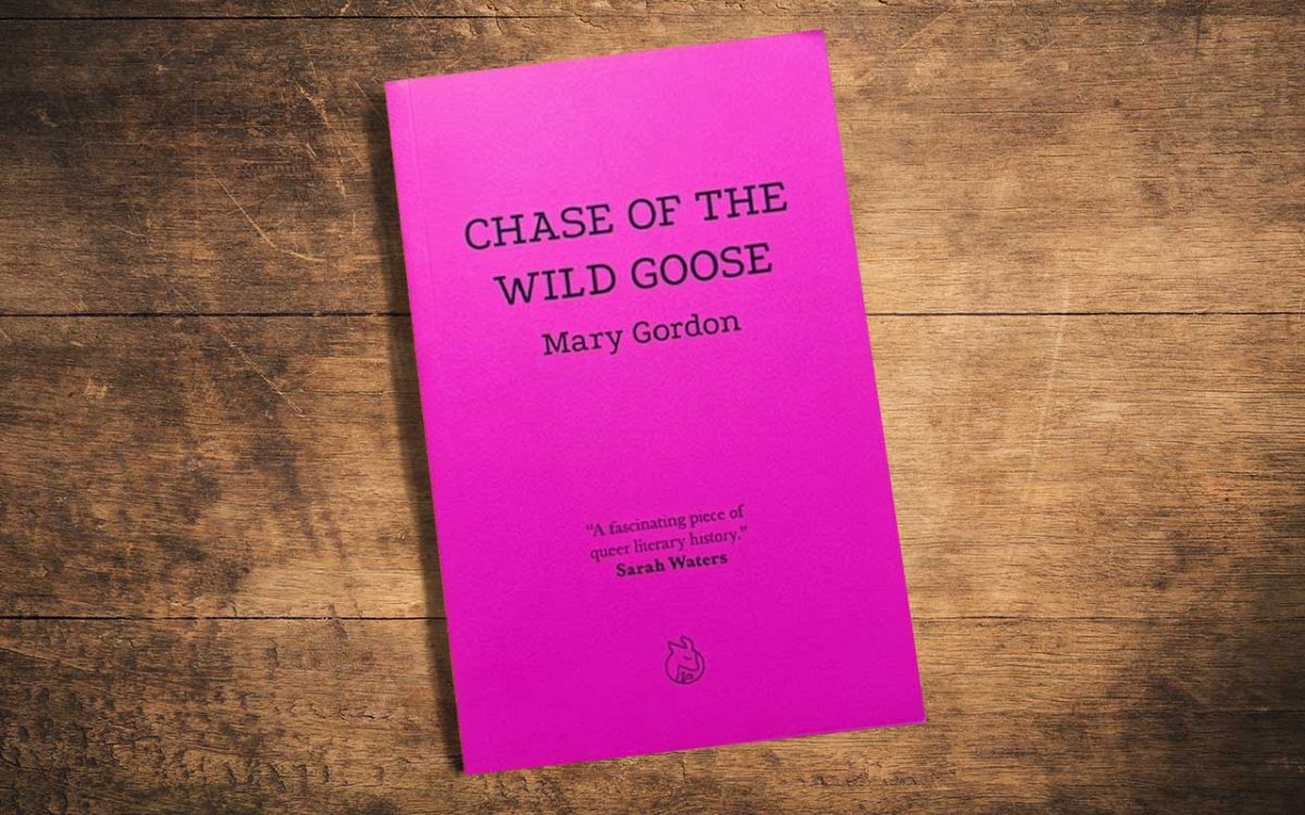 Chase of the Wild Goose book