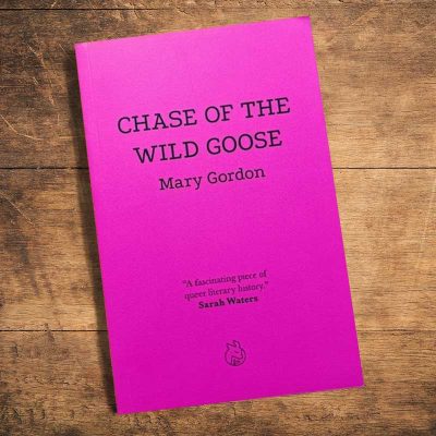 Chase of the Wild Goose book