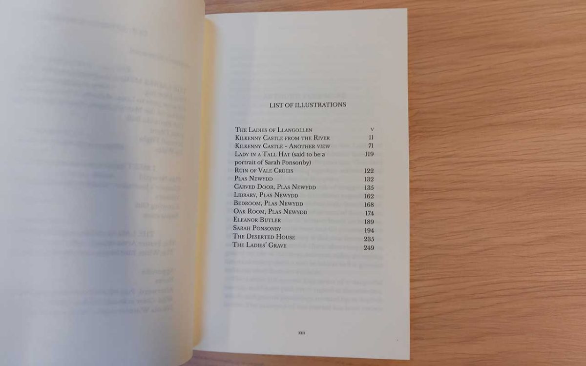 Chase of the Wild Goose book illustrations